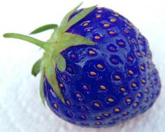 a close up of a blue strawberry on a white background
