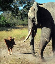an elephant and a woman walking in the grass