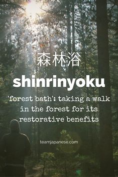 Shinrinyoku: the Japanese word for 'forest bath', aka taking a walk in the forest for its restorative benefits. For more beautiful and untranslatable Japanese words, visit teamjapanese.com Japanese, Nihongo