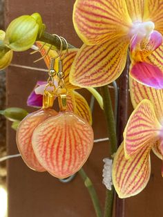 two yellow and pink orchids hanging from a hook on a door handle with other flowers in the background