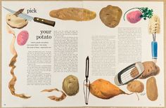 Cookbook, Cookbook Design, Cookbook Ideas, Food Magazine, Cookbook Design Layout, Food Illustrations