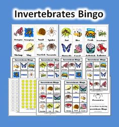an image of different types of animals and insects inverterates bingo game cards