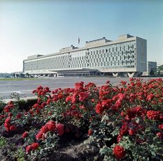red flowers are growing in front of a large building with many windows on the side