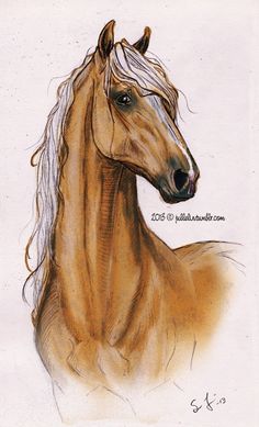 Corel Painter by Jullelin.deviantart.com on @deviantART Painting Techniques, Animal Drawings Sketches, Equine Art, Horse Drawing Tutorial