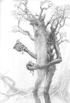 a pencil drawing of a tree with no leaves and branches on it's trunk