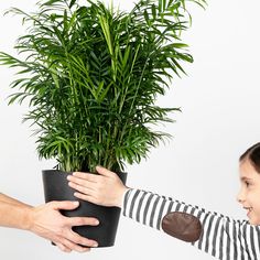 a woman is holding a potted plant in her hand while another person reaches out to touch it