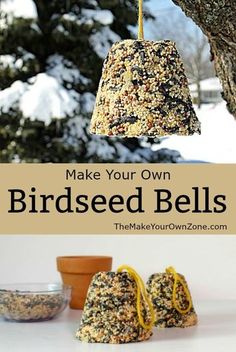 Pre K, Bird Seed Feeders, Homemade Bird Feeders, Bird Seed Crafts, Diy Bird Feeder, Bird Seed Ornaments, Bird Feeders