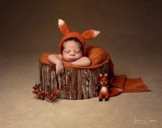 a baby sleeping in a tree stump with a fox hat on it's head