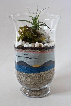 how to make sand art terrariums - Google Search Sand Art Bottles, Sand Sculpture, Bottle Garden, Succulents Diy, Sand Art