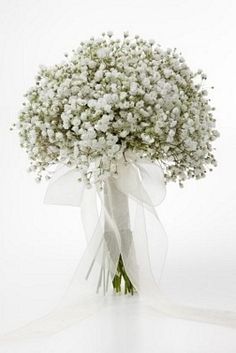 Gypsophila White Wedding Flowers. If you can't tell, I have my first flower consultation today. Wedding Bouquets, Babys Breath Bouquet, Bridal Bouquet, Bouquet Wedding, Wedding Flowers Gypsophila, White Bridal Bouquet, Bride Bouquets, Bridesmaid Bouquet