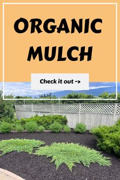 the words organic mulch check it out in front of a garden