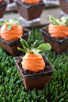 three small pots with carrots in them on some grass