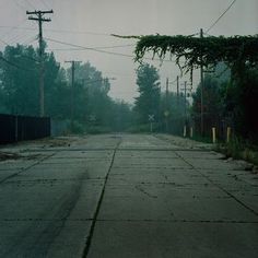an empty street with vines growing over it and power lines in the distance on a foggy day