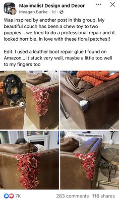 a collage of photos showing the process of making a dog bed on a couch