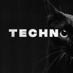 Techno Stalkers® (@techno.stalkers) hat ein Foto auf seinem/ihrem Instagram-Konto veröffentlicht: „Techno and Cats . . 📸: @techno_mood  . . . #techno #technomusic #technolovers #technodj…“ Wallpapers, Retro, Techno Idea, Merch, Dj, Mood, Fotos