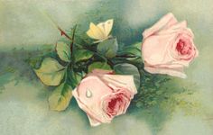 a happy birthday card with three pink roses
