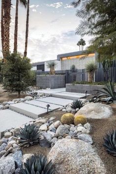 an outdoor area with rocks and cactus plants