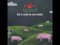 Applegate: Animals on Pasture https://www.youtube.com/watch?v=GfdfijzZsek&utm_content=buffer2ee37&utm_medium=social&utm_source=bufferapp.com&utm_campaign=buffer Applegate is working hard to restore and revitalize the food system starting from the ground up by putting more animals on pasture. Youtube, Food System, Content, Restore, Pasture, Revitalize, Working Hard