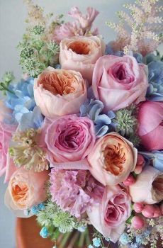 Flora, Pink, Pretty Flowers, Beautiful Flowers, Lovely Colors