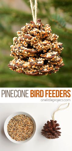 These pinecone bird feeders are SO PRETTY and they're so easy to make! With just a few simple supplies you can make one in less than 10 minutes! It's a great craft for kids, tweens, teens, adults, seniors and even in the classroom! It's so much fun to watch the birds it brings to the backyard! Wild Life, Crafts, Pine Cone Crafts, Bird Feeder Craft, Bird Feeders Diy Kids, Diy Birdfeeders Homemade Kids