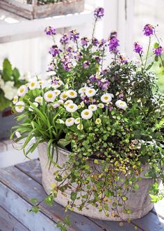 a planter filled with white and purple flowers on top of a wooden table next to other plants