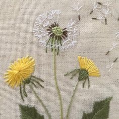 Embroidery, Hand Embroidery, Motifs De Broderie, Hoa, Simple Embroidery, Bunga, Hand Embroidery Designs, Hand Embroidery Flowers, Hand Embroidery Art