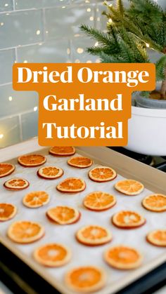 Dried Orange Garland 
Tutorial