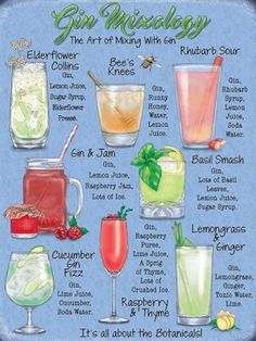 the gin cocktail poster is shown with different types of drinks and their names on it