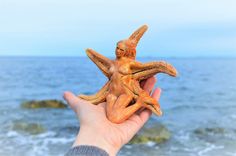 a person holding up a starfish in front of the ocean