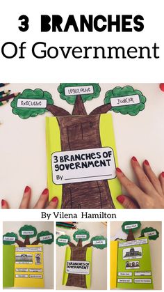 three branches of government are shown with the title, 3 branches of government by virginia hamilton