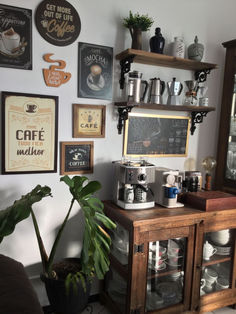 there is a coffee bar with many signs on the wall and a potted plant next to it
