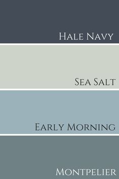 four shades of blue, gray and white with the words sea salt on them in different font