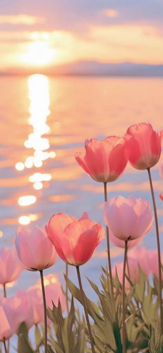 pink flowers are blooming in front of the water at sunset, with the sun setting behind them
