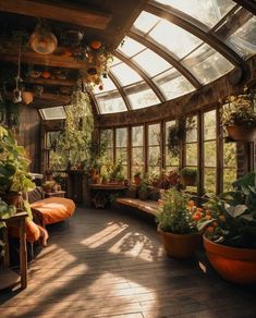 an indoor greenhouse filled with lots of plants and potted plants on the windowsill