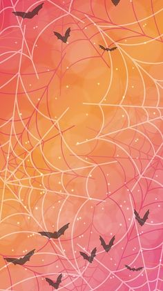 cute Halloween wallpaper: spider web and bats More Wallpaper, Join, Visiting, Pins