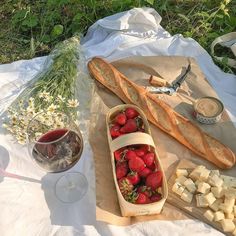 strawberries, cheese and bread on a picnic blanket with wine in the foreground