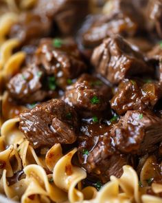 beef and noodles in sauce with parsley on the side, ready to be eaten