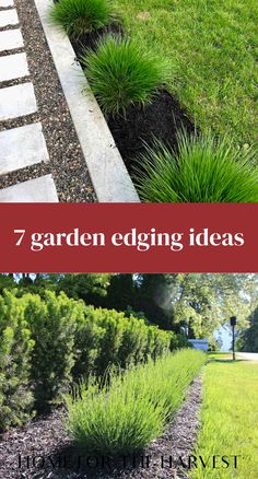 garden edging ideas that are easy to do and great for your yard or front yard