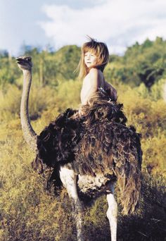 Tippi, la niña de la selva Portrait, Photography, Ostriches, Naturaleza