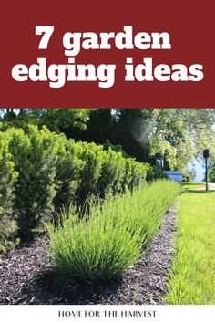 a garden with the words 7 garden edging ideas on it and an image of some bushes