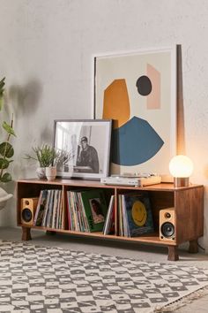 an entertainment center with books, speakers and pictures on the wall next to a potted plant