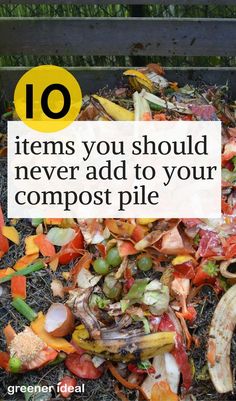 a pile of garbage with the words 10 items you should never add to your compost pile