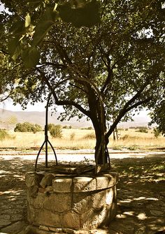 Old water well | Flickr - Photo Sharing! Pumps, Water, Water Well, Views, Hand Pump Well, Well Pump, Country Primitive