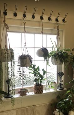some plants are hanging on the window sill