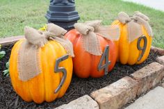 three pumpkins with numbers on them are sitting in the ground near a fire hydrant