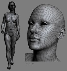 Picked up by CGchips. 2D,3DCG tutorials and 3Dprinter news site. http://cgchips.com/ Human Reference, Animation Reference, Anatomy Study, 3d Anatomy