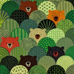 there are many bears in the forest together