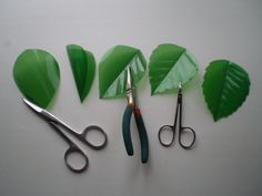 green leaves and scissors are laying on the table next to each other, with one cut in half