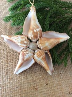a starfish ornament hanging from a christmas tree