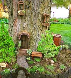 a fairy house built into the side of a tree